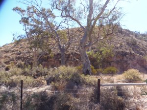 Campsite at Woolshed Flat