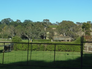 Oakbank Hedges