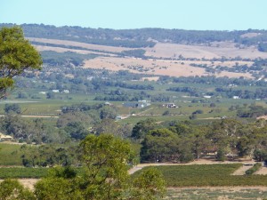 McLaren Vale Winery View